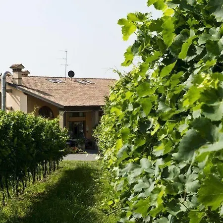 Casa Pierina Agriturismo Country house